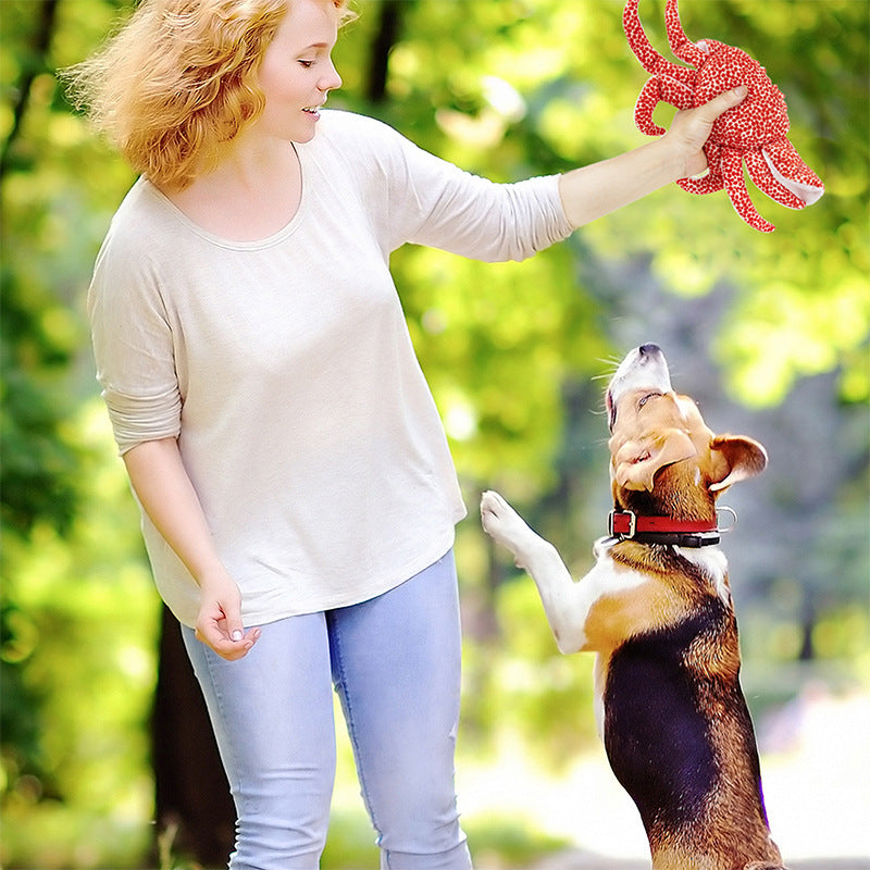 Educatief speelgoed voor de hond