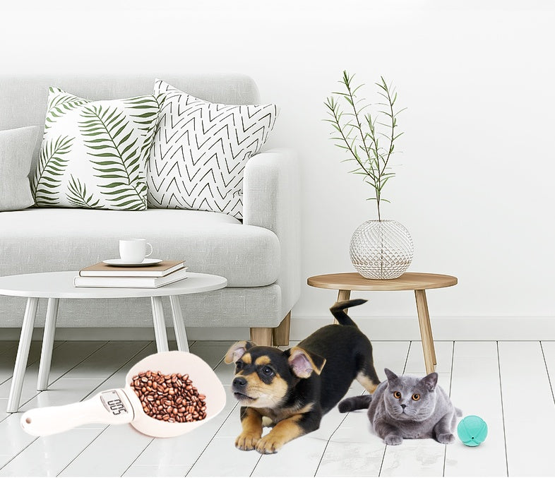 Digitale weeg lepel voor dierenvoeding