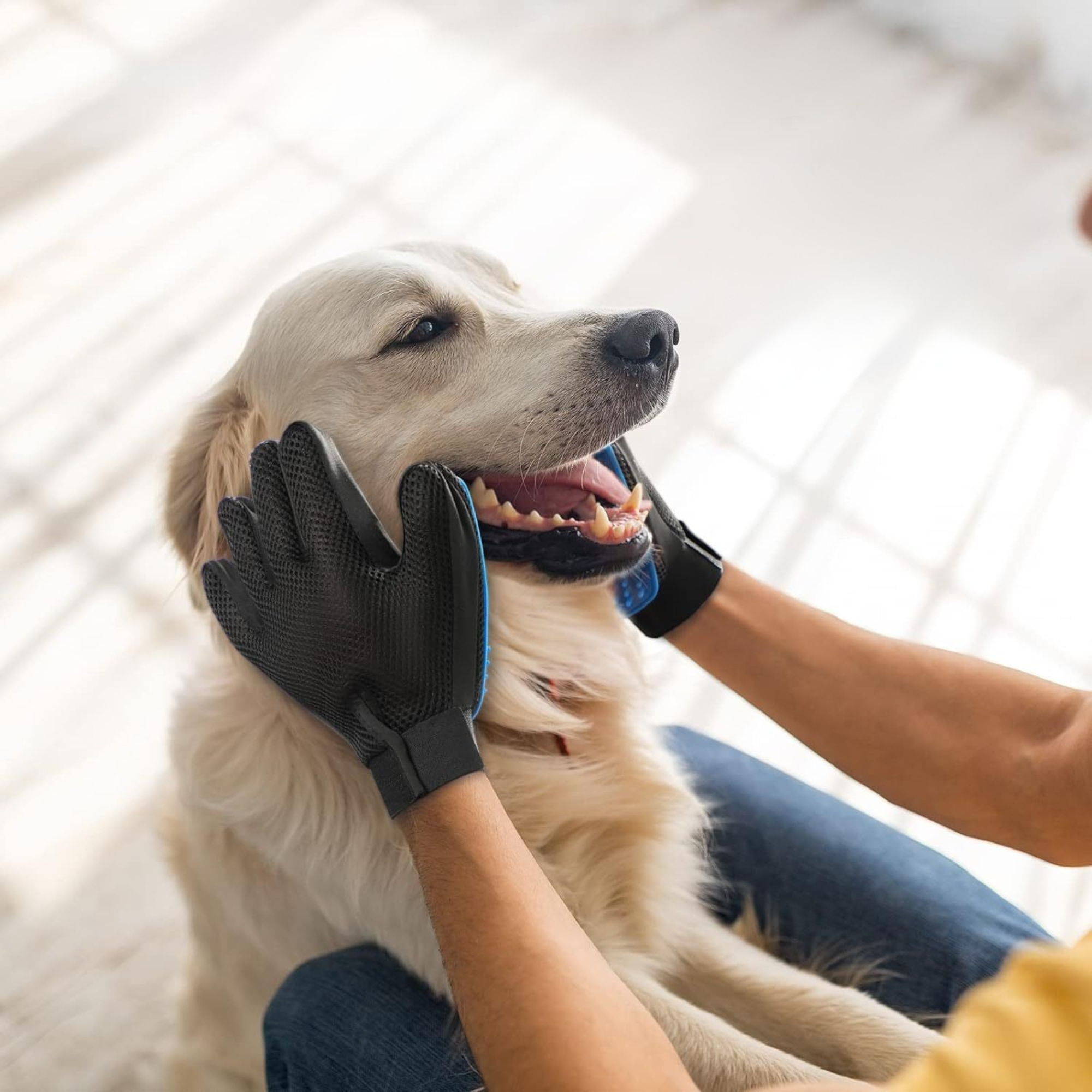 De honden grooming handschoen