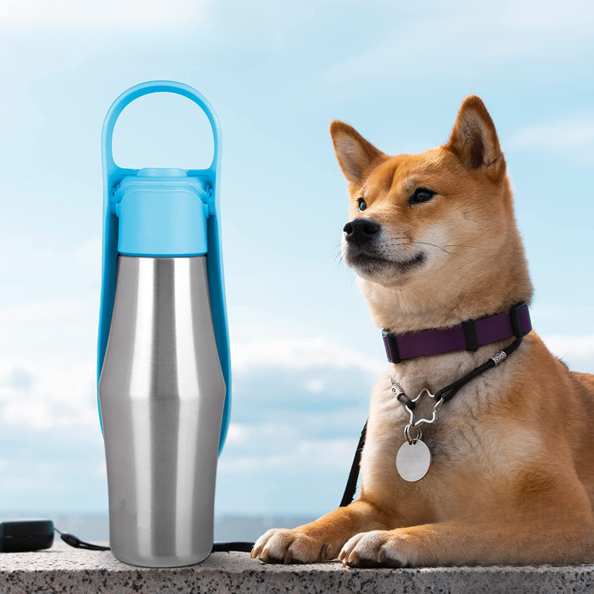 Draagbare Hondendrinkfles